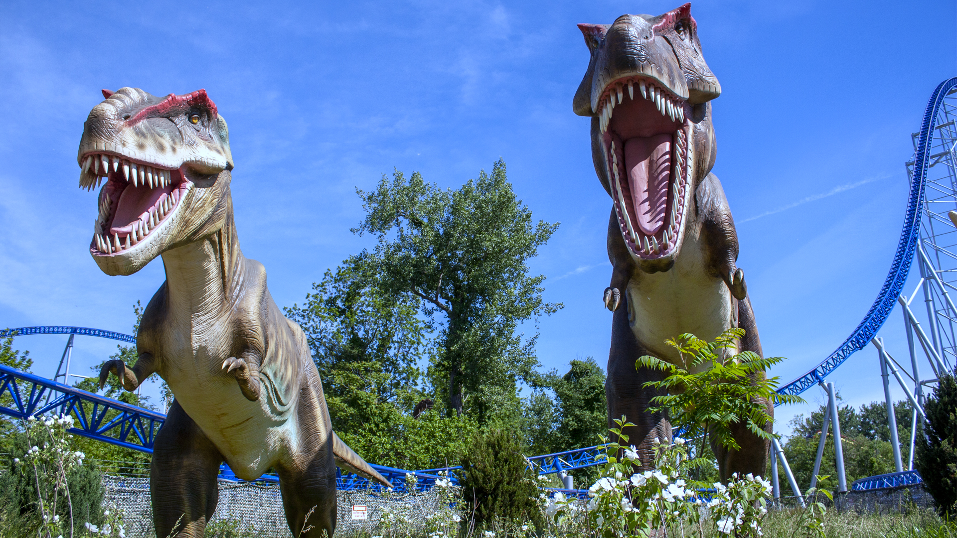 Coasterimage - Roller Coaster Pictures, Photos and Videos | Theme Park ...
